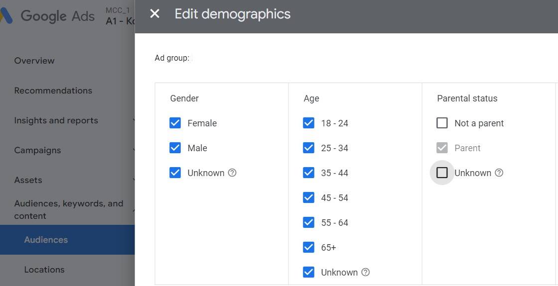 edit demographics google ads